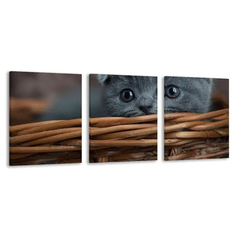 3pcs A Tiny Kitten Peeks From Basket  Wall Art Set Canvas Framed 60x90cm - High Quality Print 100% Australian Made Wall Canvas Ready to Hang