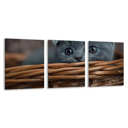 3pcs A Tiny Kitten Peeks From Basket  Wall Art Set Canvas Framed 60x90cm - High Quality Print 100% Australian Made Wall Canvas Ready to Hang
