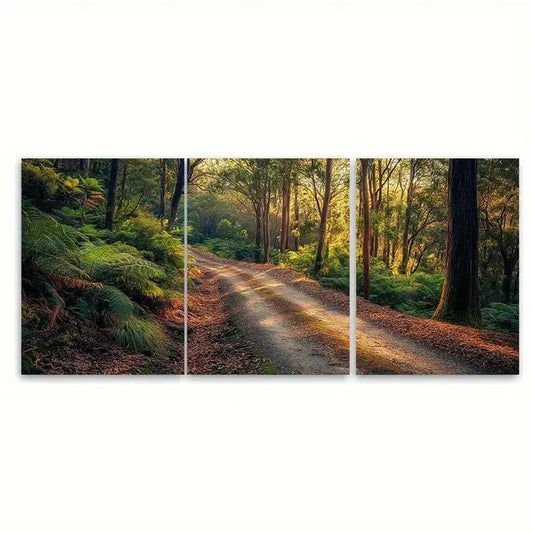3pcs Yarra Valley Dandenong Forest Australia Metal Print Ready to Hang Art