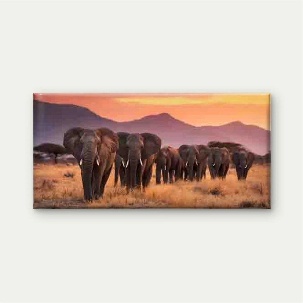 Elephant with Sunset Savannah Wall Art Canvas Office Home Room Framed 120x60cm