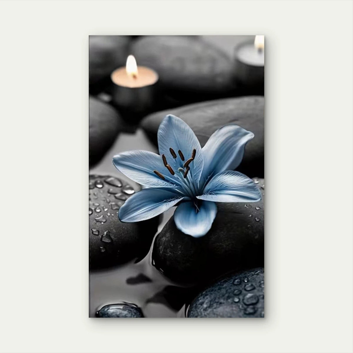 Blue Lily and Stones60x90cm Metal Print Ready to Hang