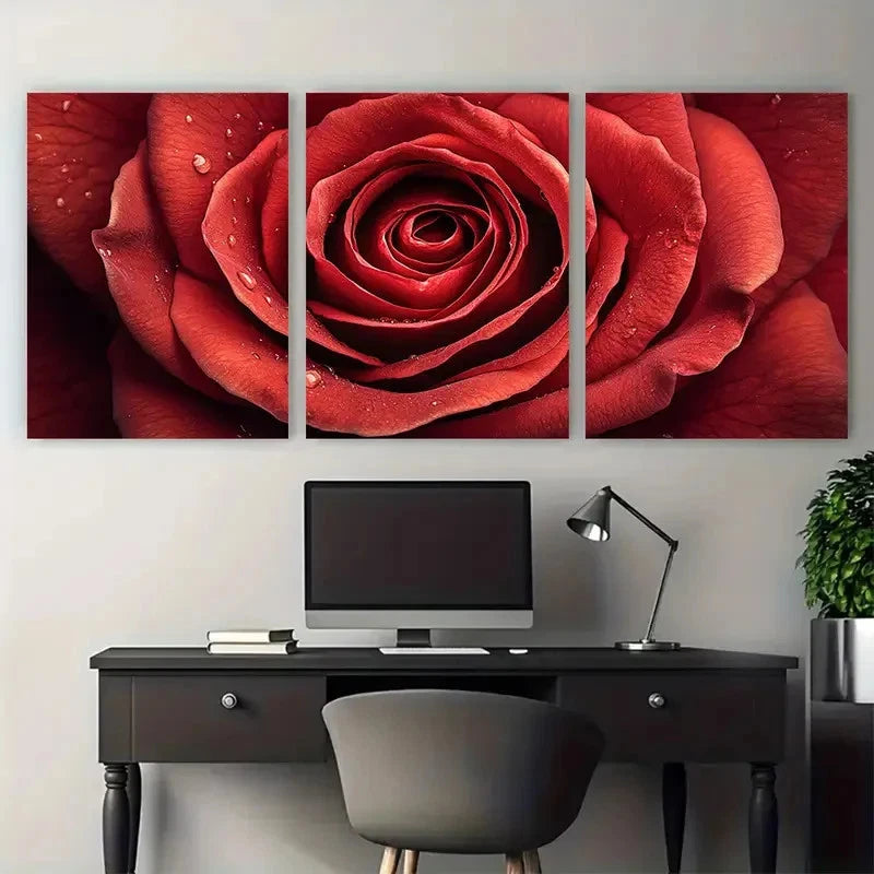 3pcs vibrant red rose cloesup illustration Wall Art Set Canvas Framed 40x60cm - High Quality Print 100% Australian Made Wall Canvas Ready to Hang