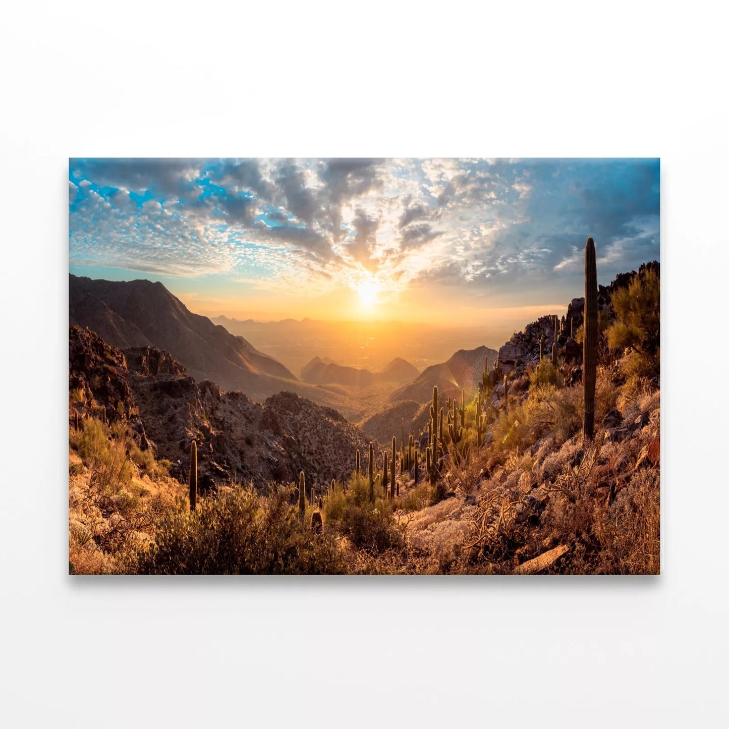 Vibrant Cactus Trees And Sunrise Wall Art Decor 100% Australian Made