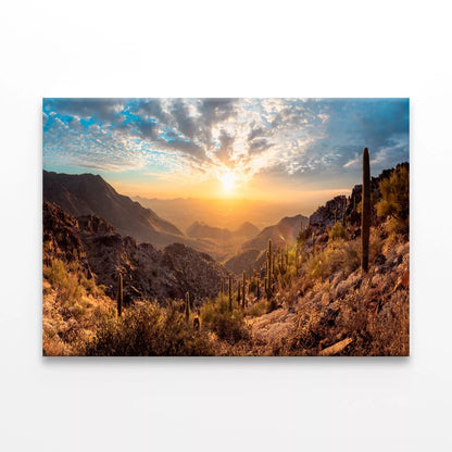 Vibrant Cactus Trees And Sunrise Wall Art Decor 100% Australian Made