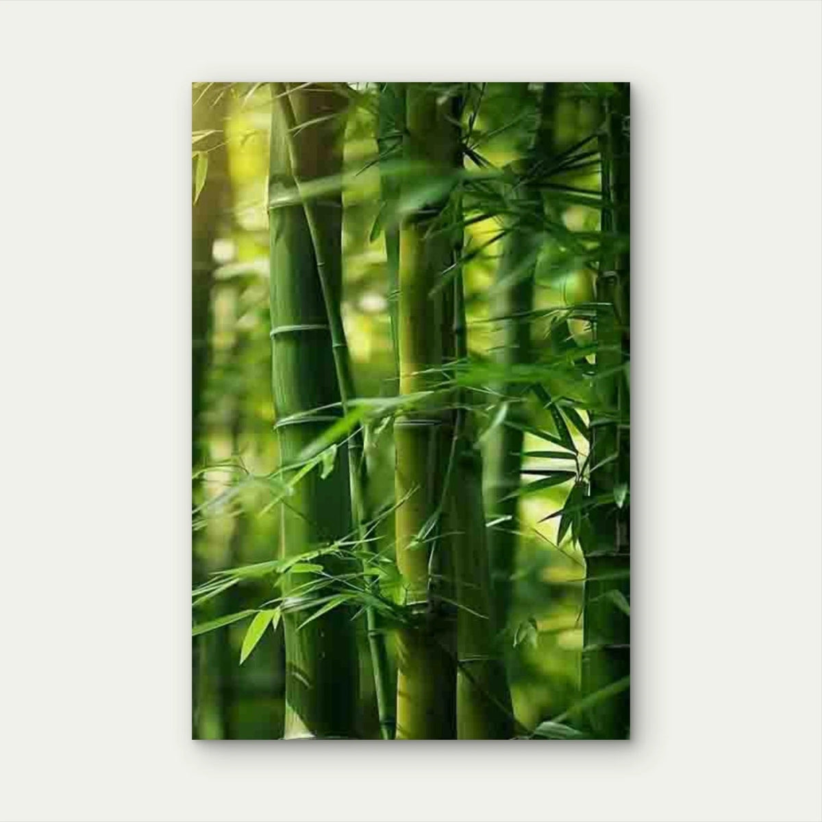 Sunlit Bamboo Forest Metal Print Ready to Hang