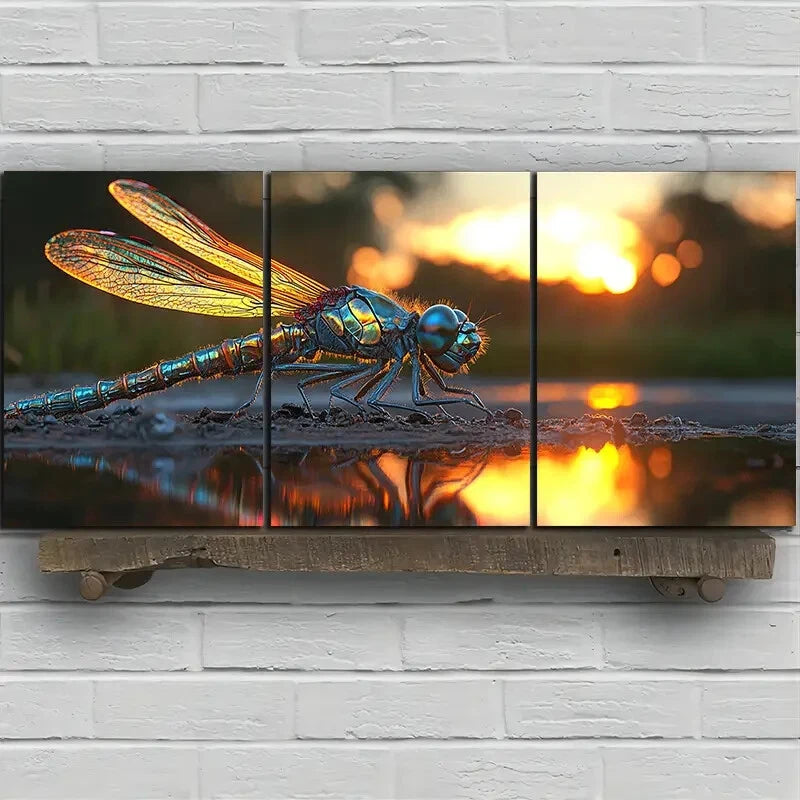 3pcs Dragonflies on The Stone Scenery Metal Print Ready to Hang Art