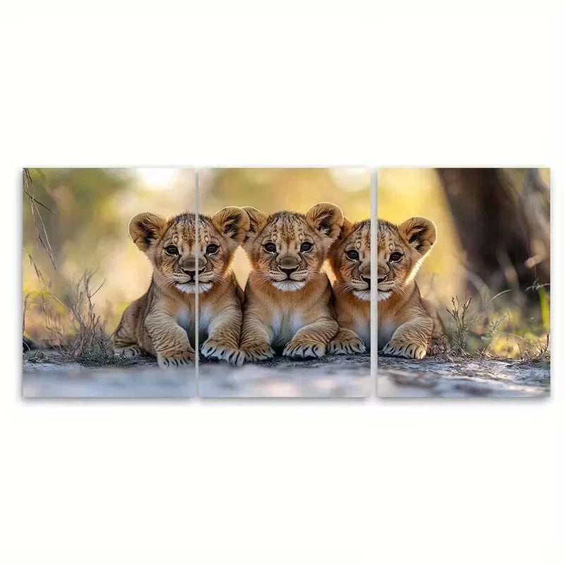 3pcs Lion Cubs Cuddling Wildlife Photography Wall Art Set Canvas Framed 60x90cm - High Quality Print 100% Australian Made Wall Canvas Ready to Hang
