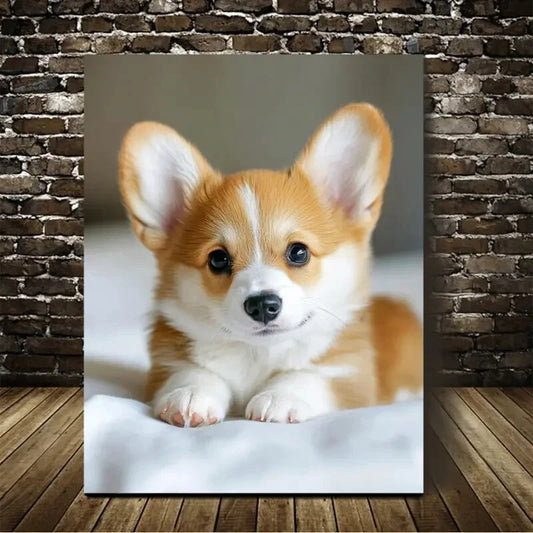 Beautiful Cute Corgi Suitable Painting 40x60cm Metal Print Ready to Hang