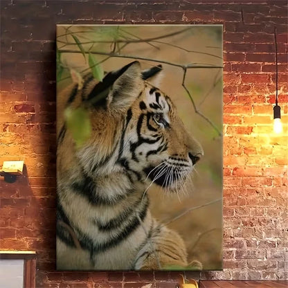 Majestic Tiger Realistic 60x90cm Metal Print Ready to Hang