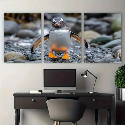 3pcs Humboldt Penguin Wildlife Photography Metal Print Ready to Hang Art