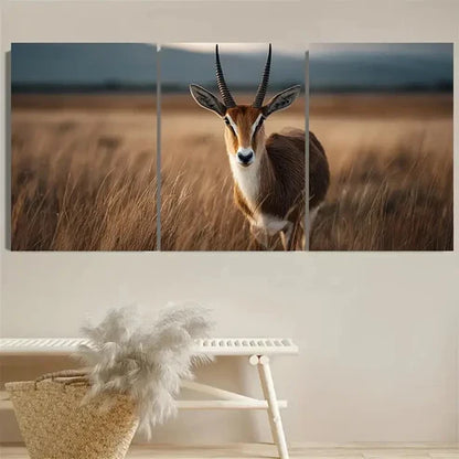 3pcs Farm Style, Ekand Antelope Wall Art Canvas Unframed - High Quality Print 100% Australian Made Wall Canvas