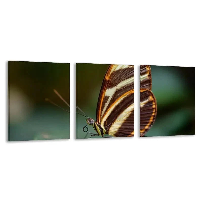 3pcs Elegant Butterfly Vibrant Colors    Wall Art Set Canvas Framed 60x90cm - High Quality Print 100% Australian Made Wall Canvas Ready to Hang