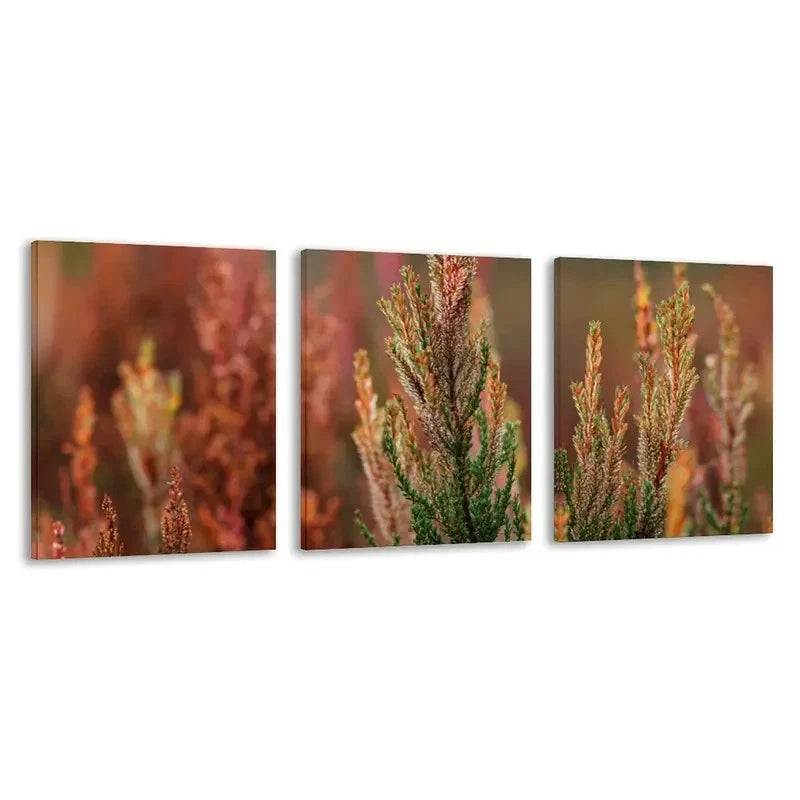 3pcs Red & Green Leafy Branches in Warm Brown Wall Art Set Canvas Framed 50x70cm - High Quality Print 100% Australian Made Wall Canvas Ready to Hang