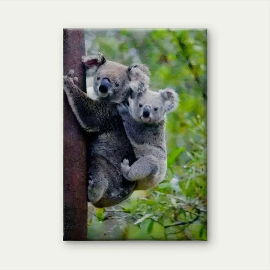 Koala Cling Painting Metal Print Ready to Hang