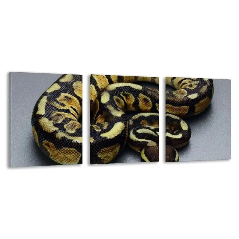 3pcs Intricate Scales Of A Ball Python Wall Art Set Canvas Framed 60x90cm - High Quality Print 100% Australian Made Wall Canvas Ready to Hang