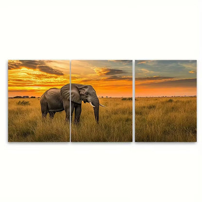 3pcs African Kenya Wildlife Metal Print Ready to Hang Art