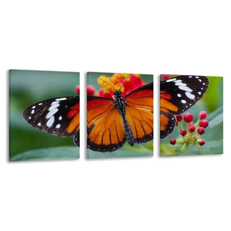 3pcs Danaus chrysippus Butterfly Decor  Wall Art Set Canvas Framed 60x90cm - High Quality Print 100% Australian Made Wall Canvas Ready to Hang