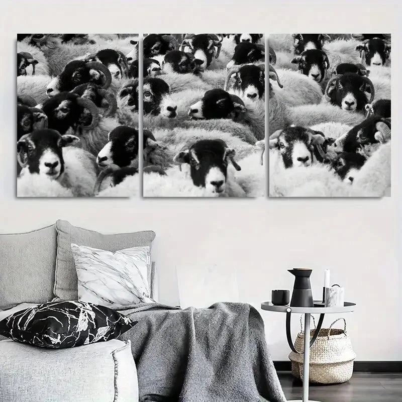 3pcs Close Up Black and White Sheep Metal Print Ready to Hang Art