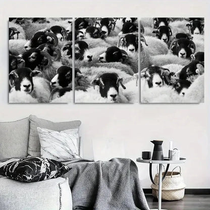 3pcs Close Up Black and White Sheep Metal Print Ready to Hang Art