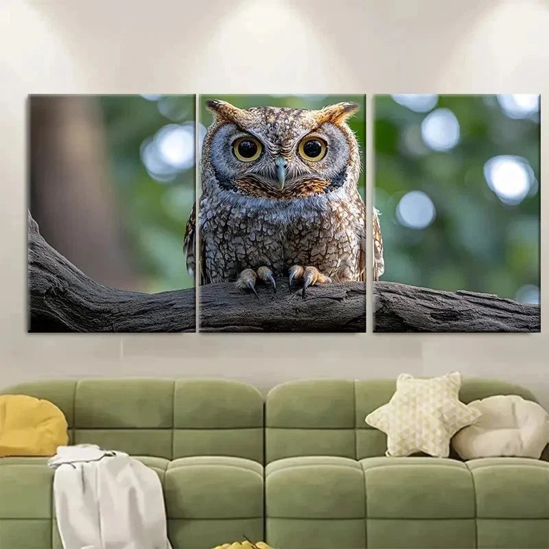 3pcs Realistic Eastern Screech Owl RK    Wall Art Set Canvas Framed 60x90cm - High Quality Print 100% Australian Made Wall Canvas Ready to Hang