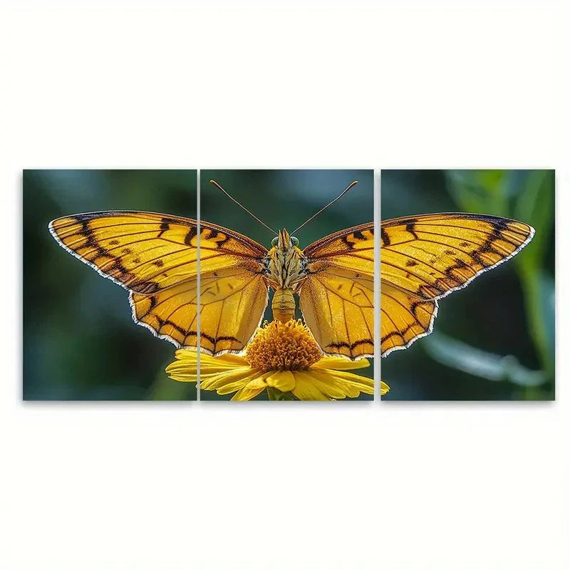 3pcs Vibrant Yellow Butterfly on Flower Nature Wall Art Set Canvas Framed 60x90cm - High Quality Print 100% Australian Made Wall Canvas Ready to Hang