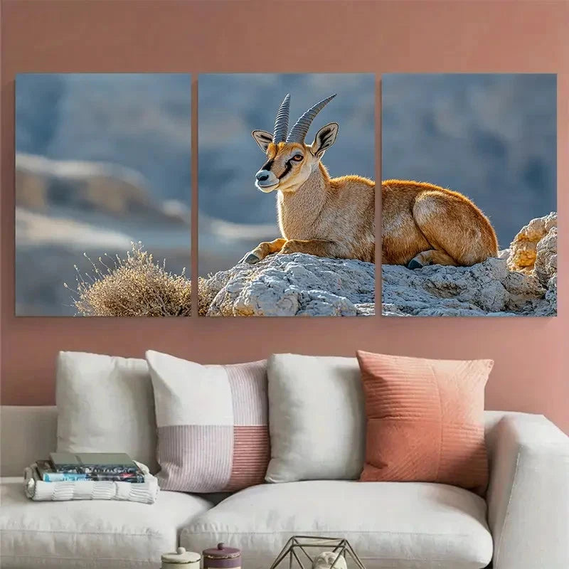 3pcs Nubian Ibex on Makhtesh Ramon Cliffs Wildlife Metal Print Ready to Hang Art