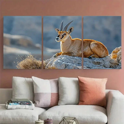 3pcs Nubian Ibex on Makhtesh Ramon Cliffs Wildlife Metal Print Ready to Hang Art