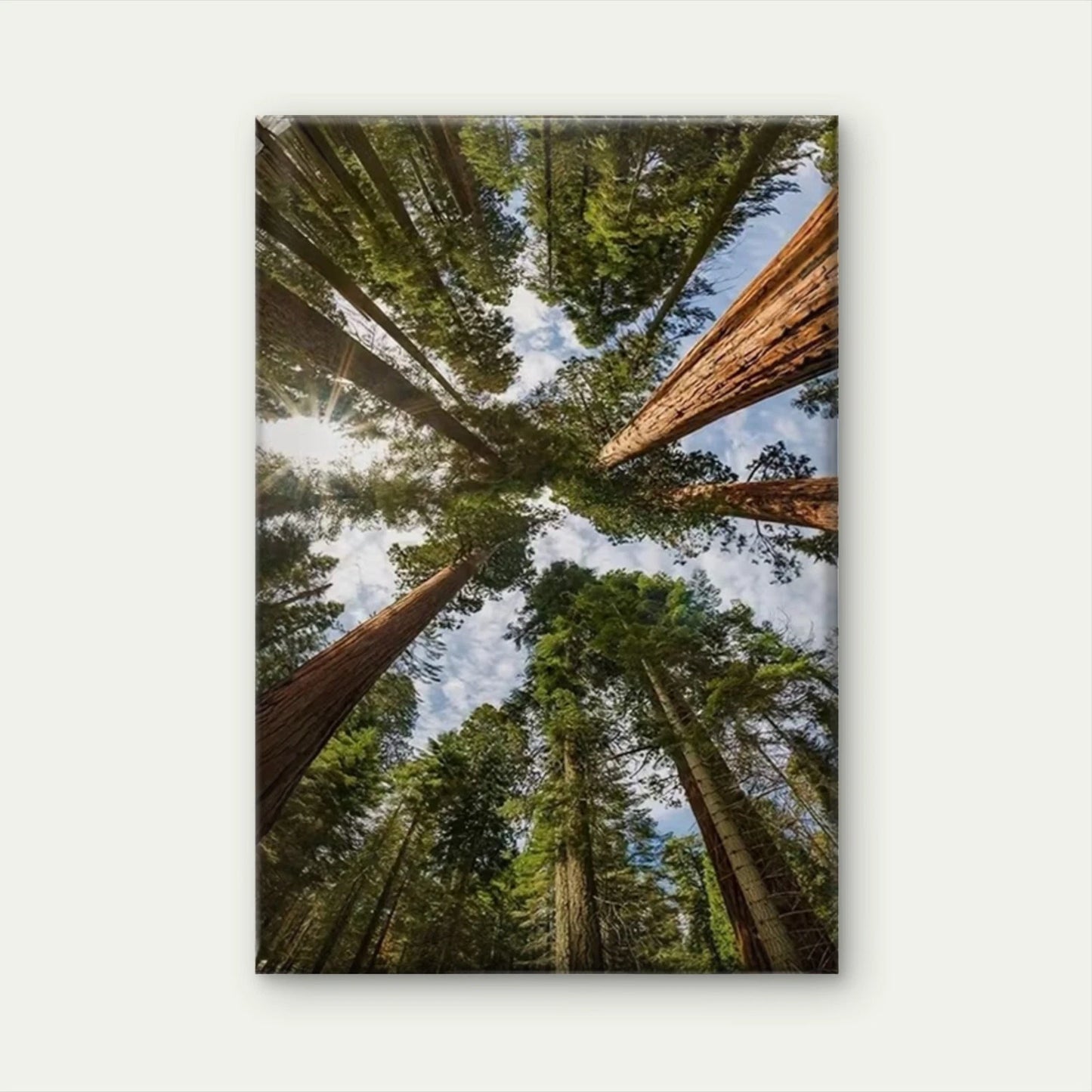 Serene Green Forest Oil Painting Metal Print Ready to Hang