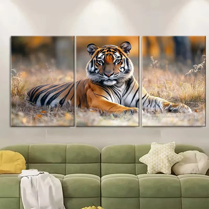 3pcs Resting in Tiger Reserve National Park Metal Print Ready to Hang Art