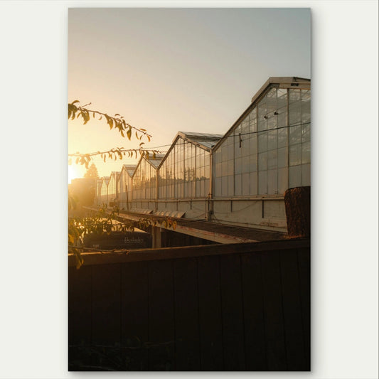 Industrial Greenhouse Architecture at Sunset 40x60cm Metal Print Ready to Hang