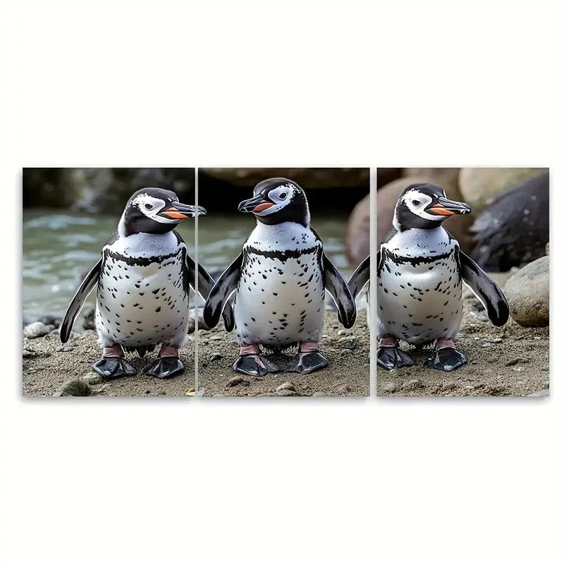 3pcs Curious African Penguins Metal Print Ready to Hang Art