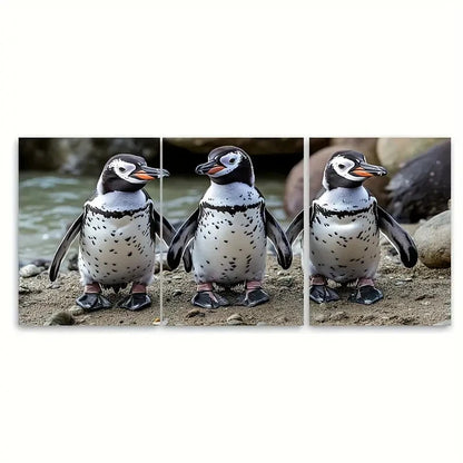 3pcs Curious African Penguins Metal Print Ready to Hang Art