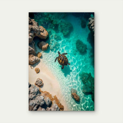 Sea Life With Aquatic Animal 40x60cm Metal Print Ready to Hang