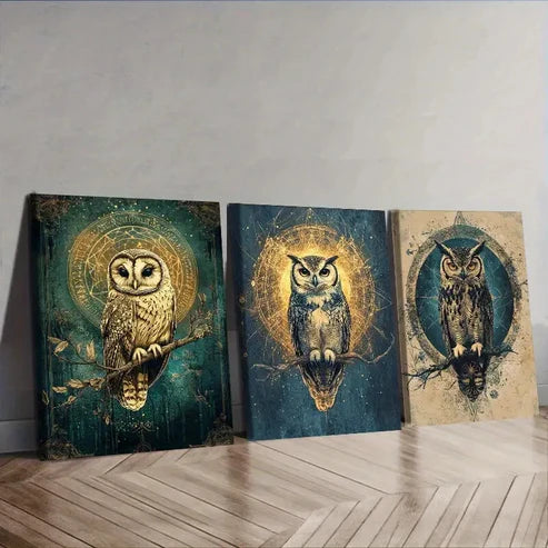 3pcs Classic Modern Owl Wall Art Set Canvas Unframed - High Quality Print 100% Australian Made Wall Canvas