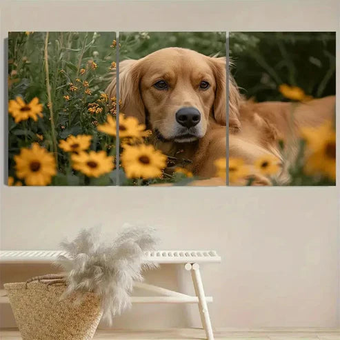 3pcs Golden Retriever & Sunflower Wall Art Set Canvas Unframed - High Quality Print 100% Australian Made Wall Canvas
