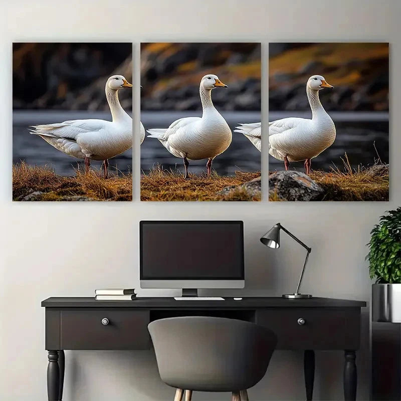 3pcs Three White Geese Farm Animals Illustration Metal Print Ready to Hang Art