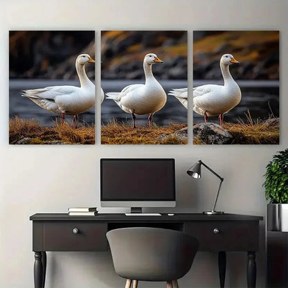 3pcs Three White Geese Farm Animals Illustration Metal Print Ready to Hang Art