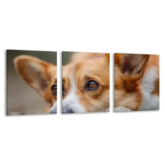 3pcs Adorable Welsh Corgi Dog Ground & Eyes  Wall Art Set Canvas Framed 60x90cm - High Quality Print 100% Australian Made Wall Canvas Ready to Hang