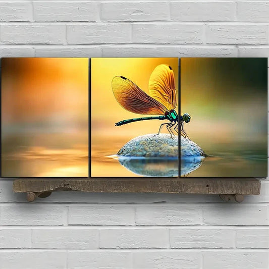 3pcs Dragonflies on the Stone Colourful Metal Print Ready to Hang Art
