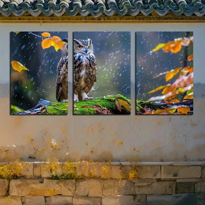 3pcs Vibrant Furious Owl on The Branch Metal Print Ready to Hang Art