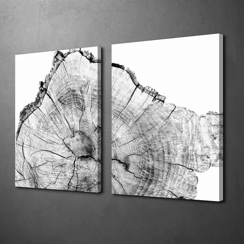 2pcs Decorative Painting, Log Slices, Nordic Style Canvas Framed 50x75cm - High Quality Print 100% Australian Made Wall Canvas Ready to Hang - Bella Home Decor