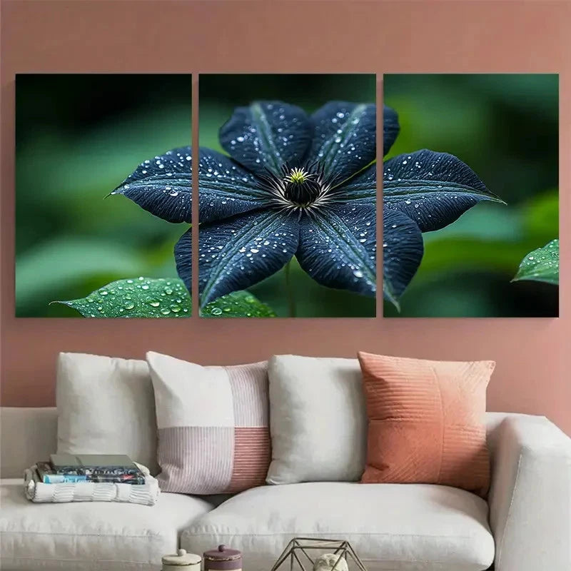 3pcs Natural Black Clematis Flower Botanical Wall Art Set Canvas Framed 40x60cm - High Quality Print 100% Australian Made Wall Canvas Ready to Hang