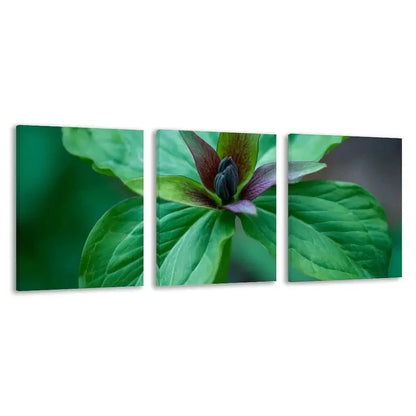 3pcs Vibrant Green Leaves & Purple Flower Bud Wall Art Set Canvas Framed 40x60cm - High Quality Print 100% Australian Made Wall Canvas Ready to Hang