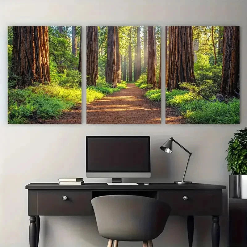 3pcs Redwood Forest California Grove of the Titans Metal Print Ready to Hang Art