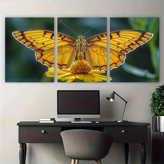 3pcs Vibrant Yellow Butterfly on Flower Nature Wall Art Set Canvas Framed 50x70cm - High Quality Print 100% Australian Made Wall Canvas Ready to Hang