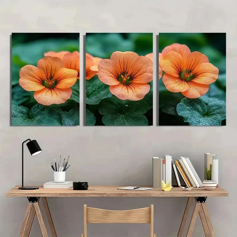 3pcs Vibrant Orange Nasturtium Flower Perfect Wall Art Set Canvas Framed 40x60cm - High Quality Print 100% Australian Made Wall Canvas Ready to Hang