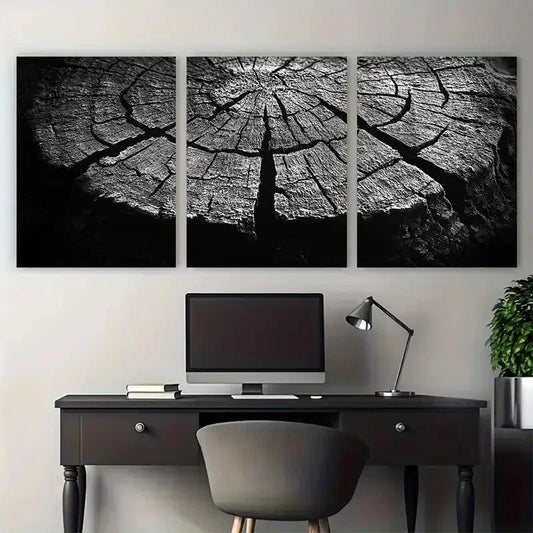 3pcs Abstract Monochrome Tree Trunk Cross Section Wall Art Set Canvas Framed 40x60cm - High Quality Print 100% Australian Made Wall Canvas Ready to Hang