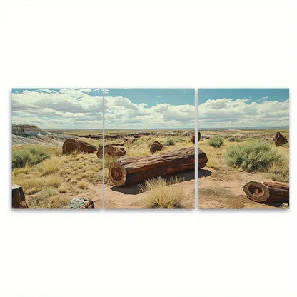 3pcs Petrified Forest National Park Illustration Wall Art Set Canvas Framed 50x70cm - High Quality Print 100% Australian Made Wall Canvas Ready to Hang