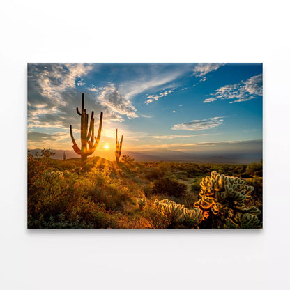 Sunrise In The Majestic Mcdowell Wall Art Decor 100% Australian Made