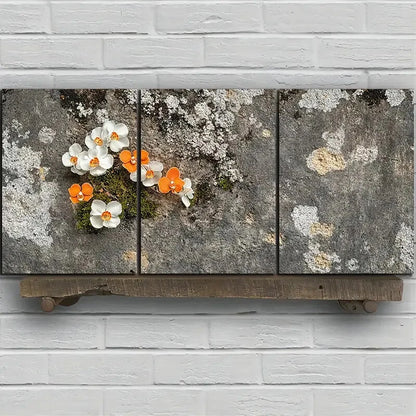 3pcs Colourful Flowers on The Cement Metal Print Ready to Hang Art